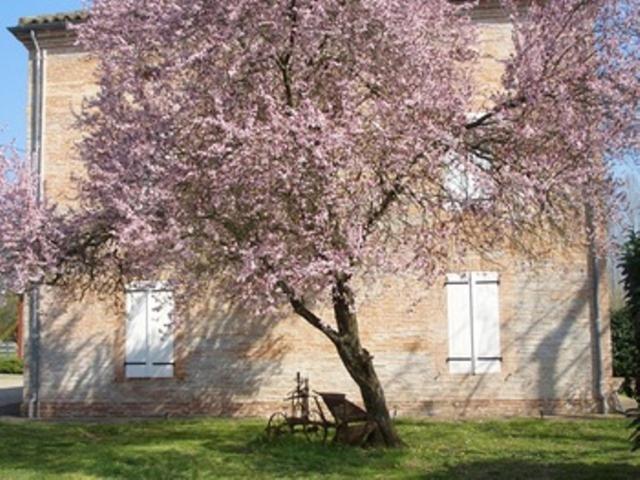 Le Platane Bed & Breakfast Lafrancaise ภายนอก รูปภาพ